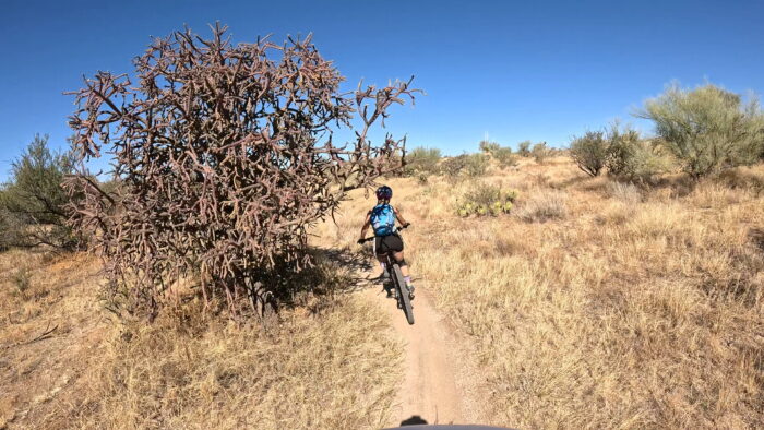 24hr Mountain Bike Rental - Image 7